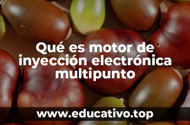 Qué es motor de inyección electrónica multipunto
