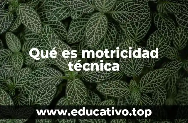 Qué es motricidad técnica