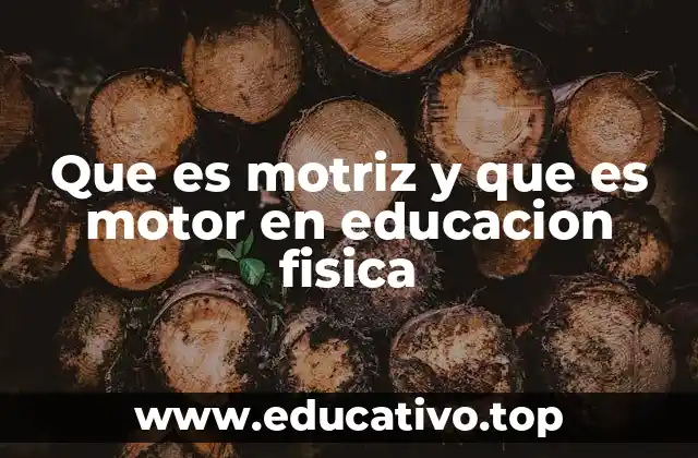 Que es motriz y que es motor en educacion fisica