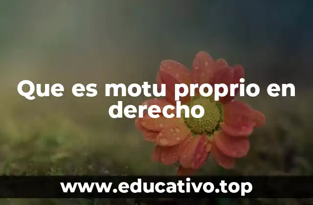 Que es motu proprio en derecho