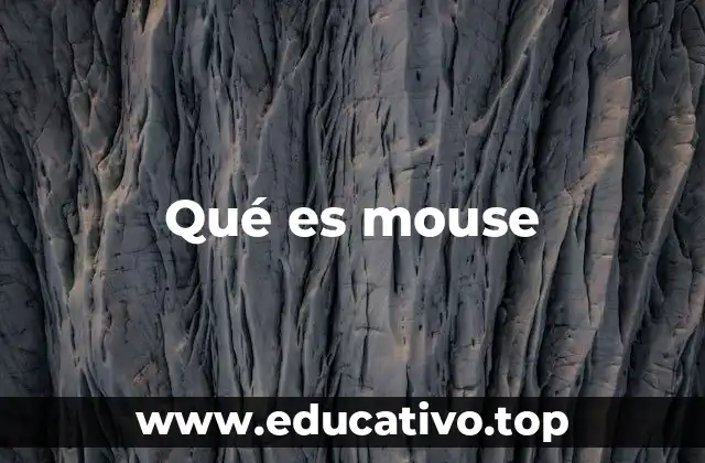 Qué es mouse