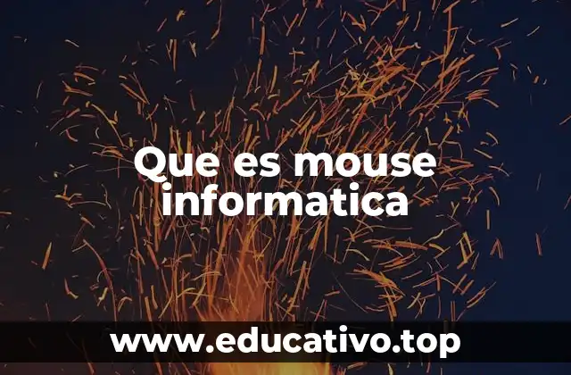 Que es mouse informatica