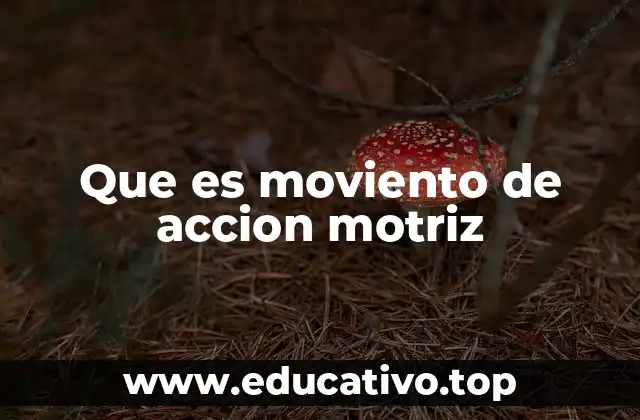 Que es moviento de accion motriz