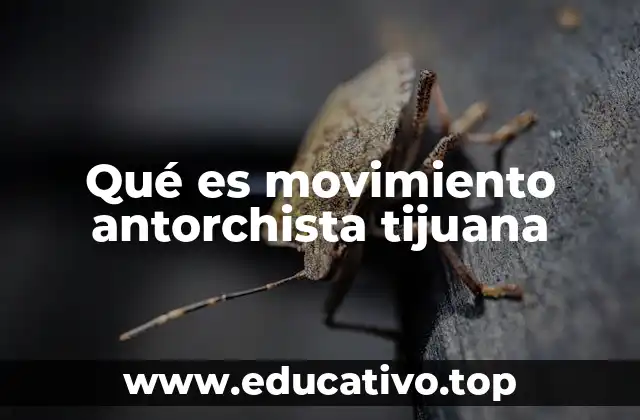 Qué es movimiento antorchista tijuana