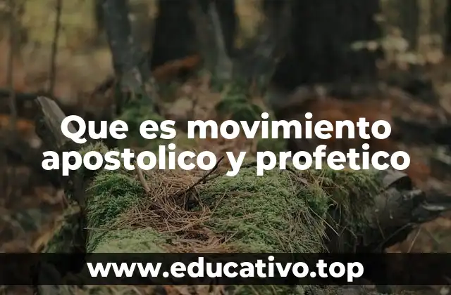Que es movimiento apostolico y profetico