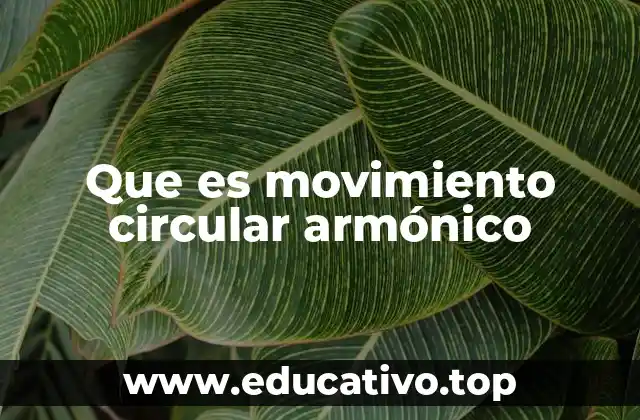 Que es movimiento circular armónico