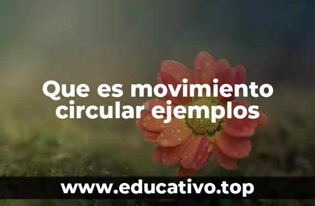 Tipos de movimiento circular