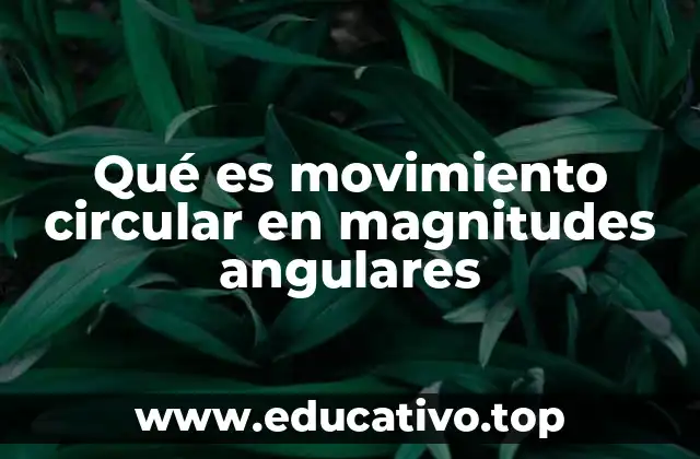 Qué es movimiento circular en magnitudes angulares