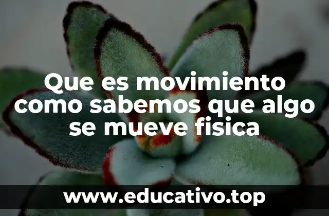 Que es movimiento como sabemos que algo se mueve fisica