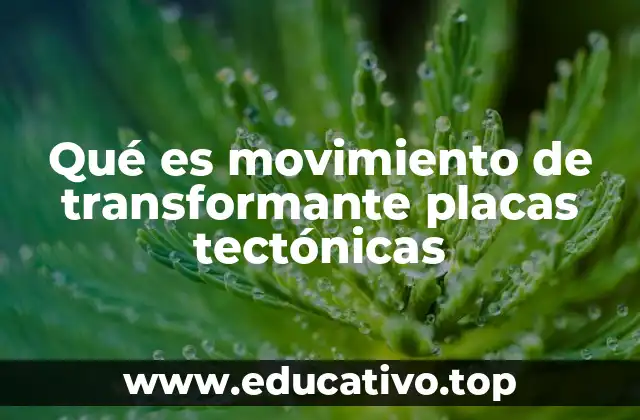Cómo se forman las fallas transformantes y su relación con la dinámica terrestre