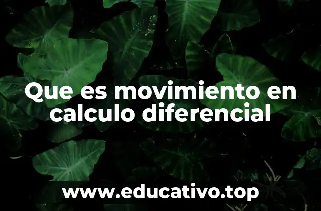 Que es movimiento en calculo diferencial