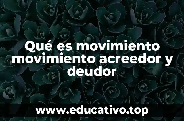Qué es movimiento movimiento acreedor y deudor