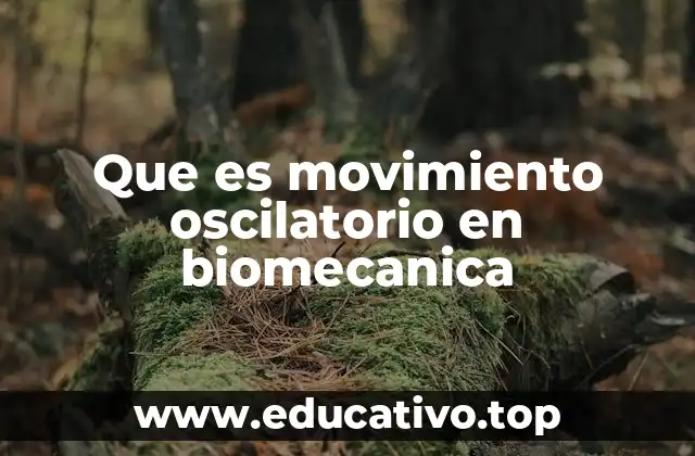 Que es movimiento oscilatorio en biomecanica