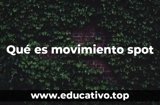 Qué es movimiento spot
