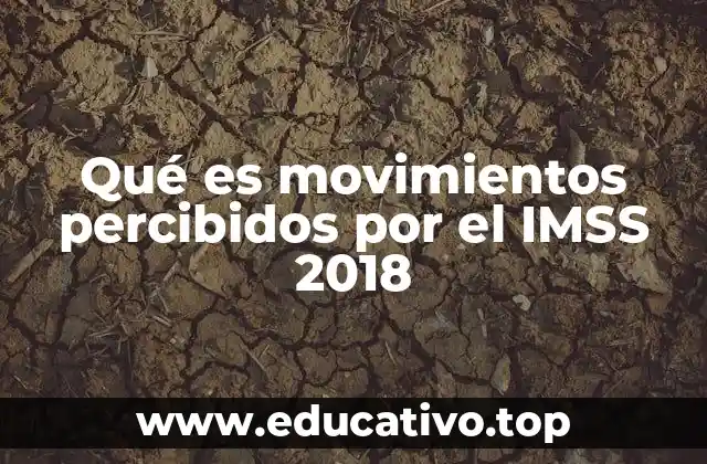 Qué es movimientos percibidos por el IMSS 2018
