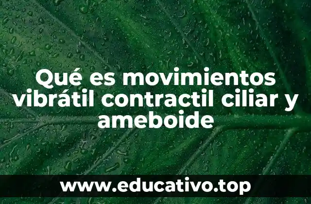 Qué es movimientos vibrátil contractil ciliar y ameboide