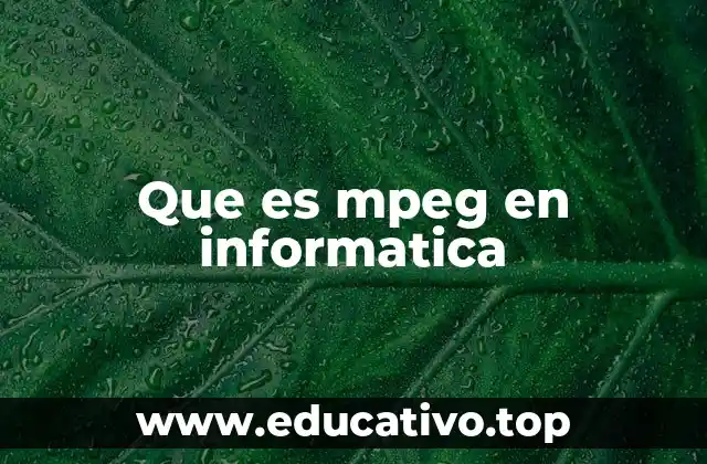 Que es mpeg en informatica