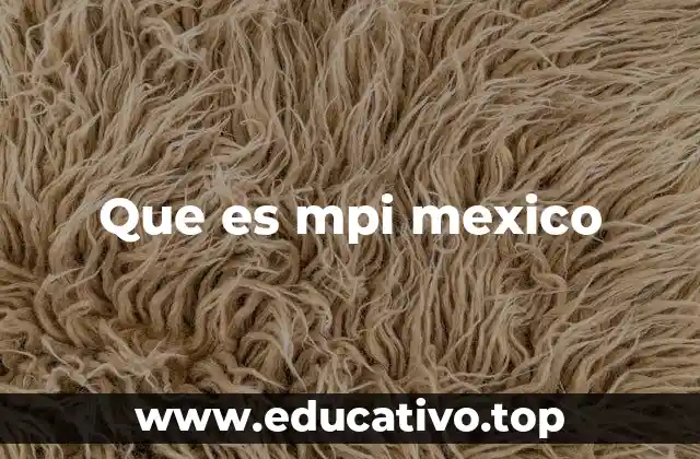 Que es mpi mexico
