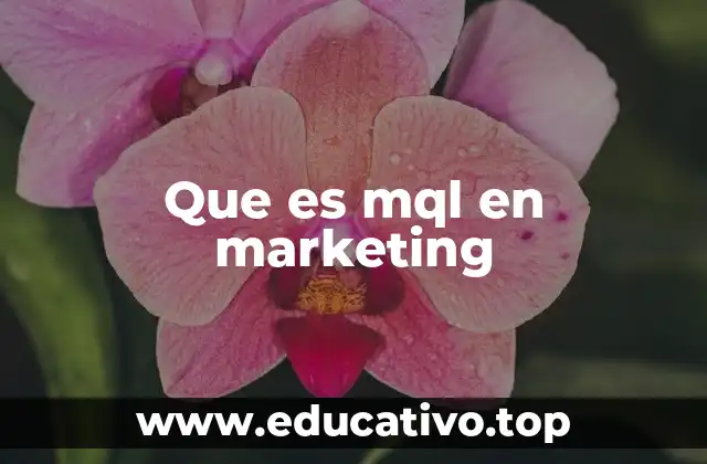 Que es mql en marketing
