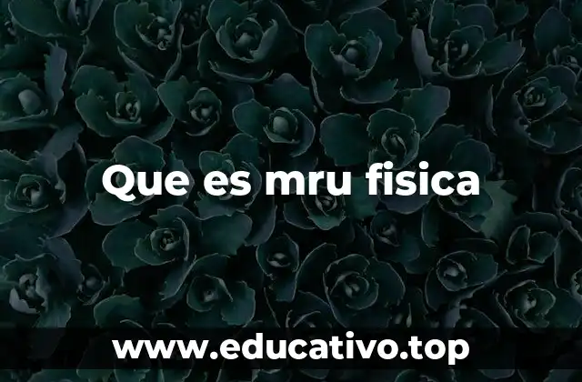 Que es mru fisica