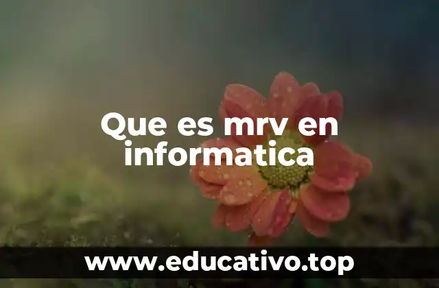 Que es mrv en informatica
