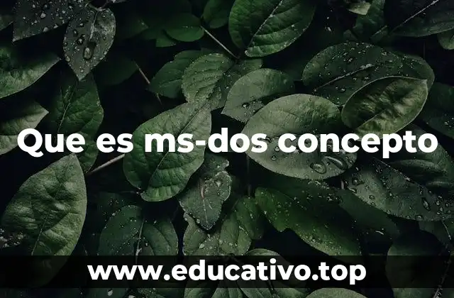 Que es ms-dos concepto