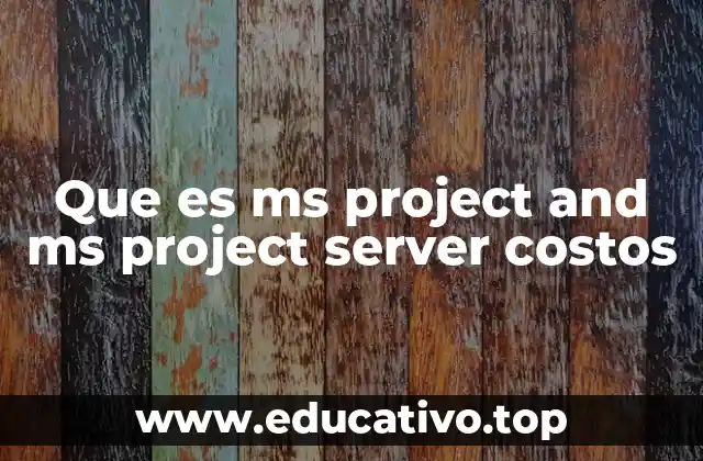 Que es ms project and ms project server costos