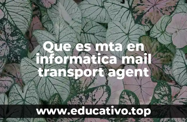 Que es mta en informatica mail transport agent