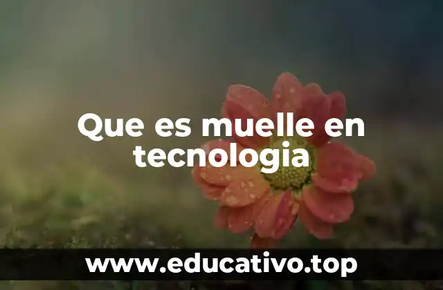 Que es muelle en tecnologia