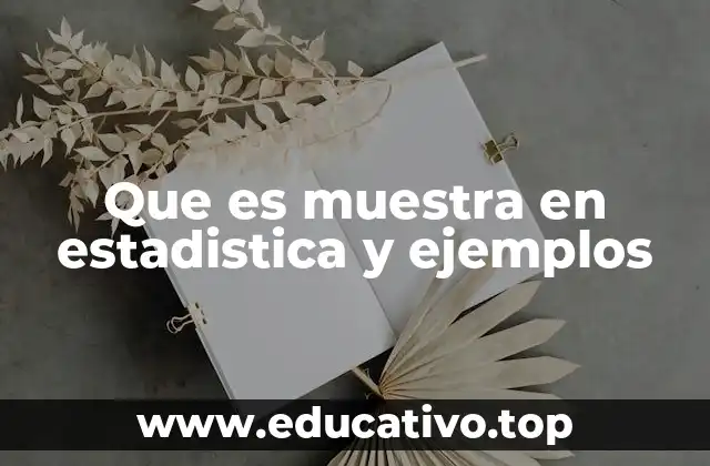 Que es muestra en estadistica y ejemplos