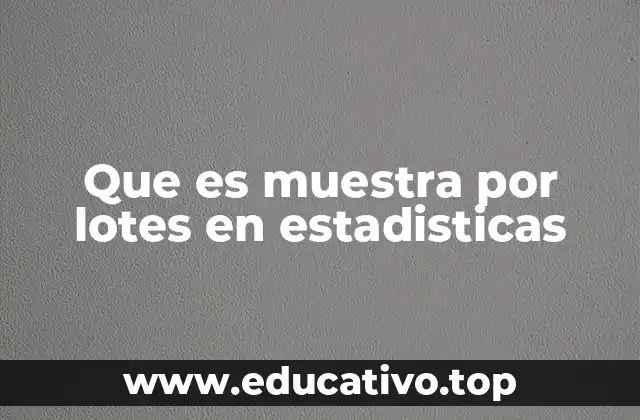 Que es muestra por lotes en estadisticas