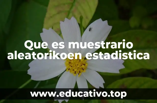 Que es muestrario aleatorikoen estadistica