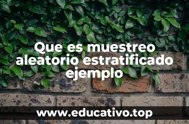 Que es muestreo aleatorio estratificado ejemplo