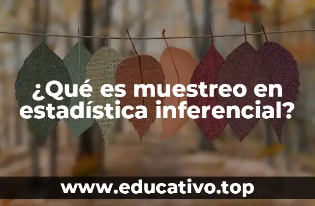 ¿Qué es muestreo en estadística inferencial?