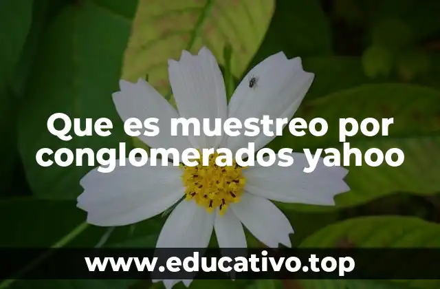 Que es muestreo por conglomerados yahoo