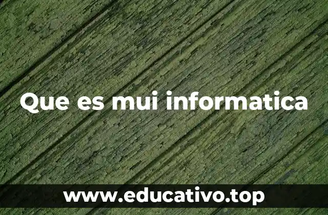 Que es mui informatica