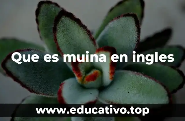 Que es muina en ingles