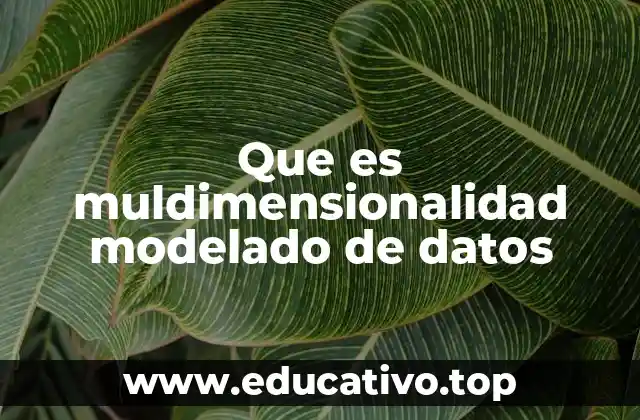 Que es muldimensionalidad modelado de datos