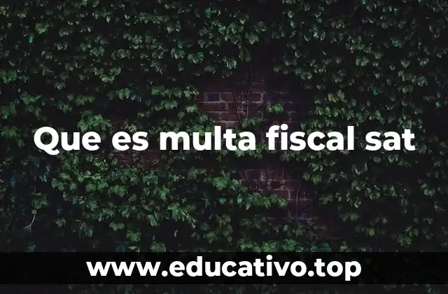 Que es multa fiscal sat