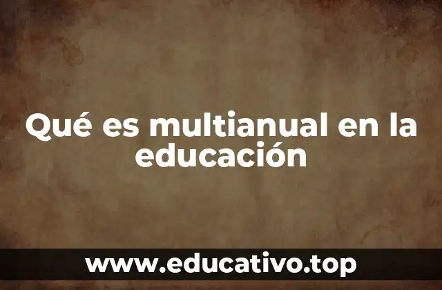 Qué es multianual en la educación