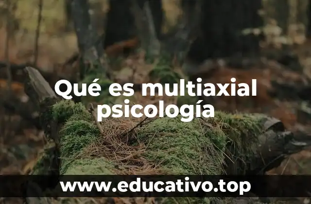 Qué es multiaxial psicología