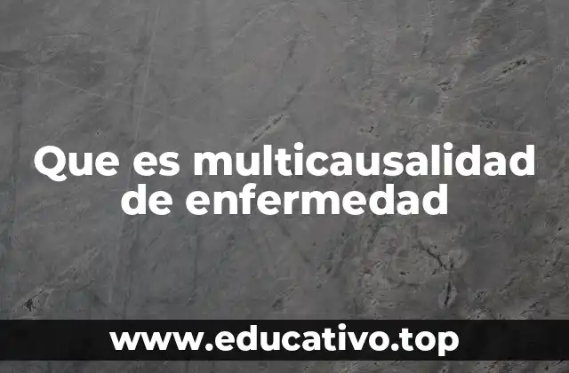 Que es multicausalidad de enfermedad