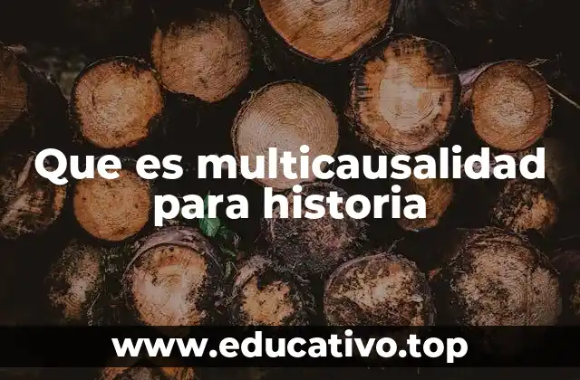 Que es multicausalidad para historia