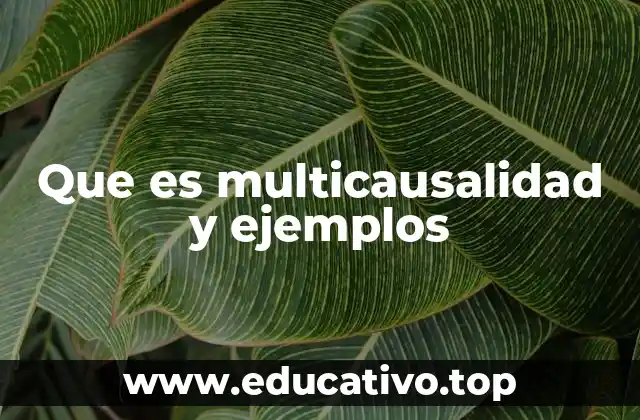 Que es multicausalidad y ejemplos