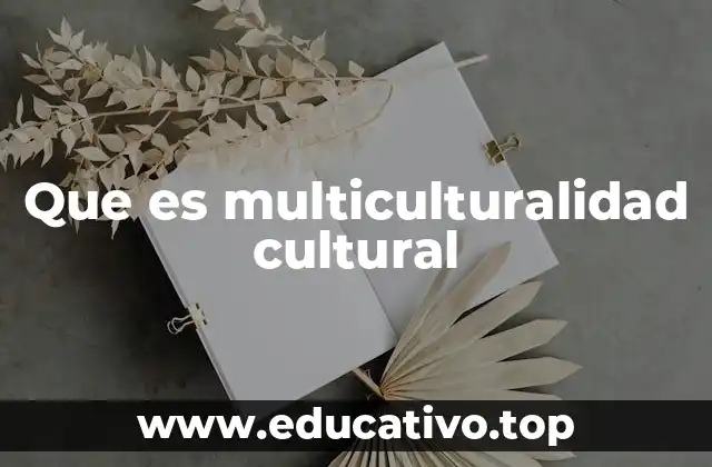 Que es multiculturalidad cultural