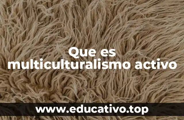 Que es multiculturalismo activo