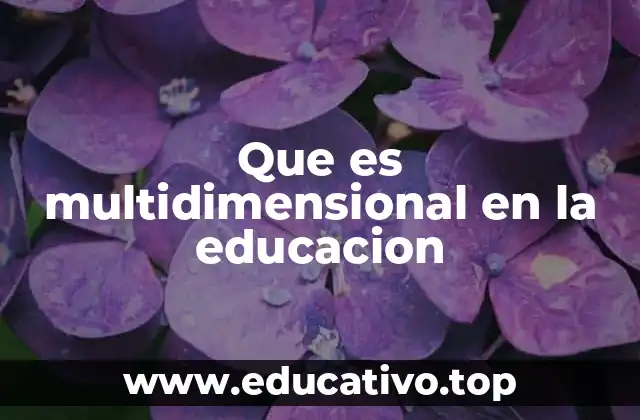 Que es multidimensional en la educacion