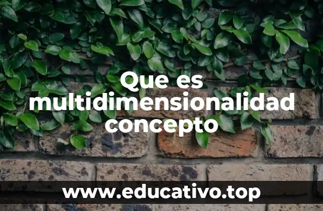 Que es multidimensionalidad concepto
