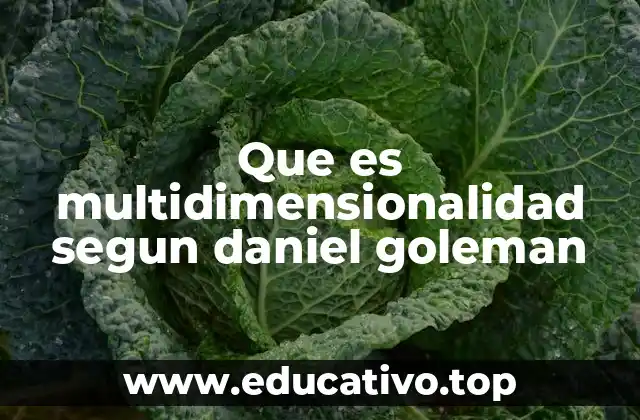 La importancia de la inteligencia emocional en la vida moderna