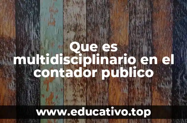 Que es multidisciplinario en el contador publico